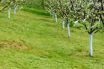 Парцел в Шумен, с. Конево