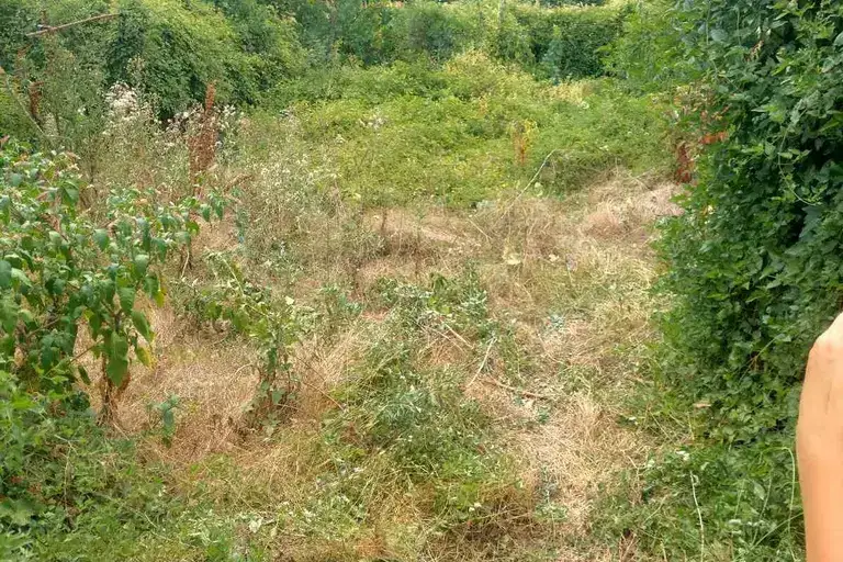 Парцел в Шумен, с. Кълново