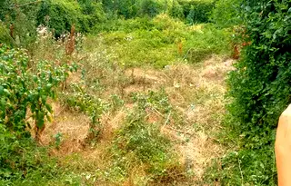 Парцел в Шумен, с. Кълново
