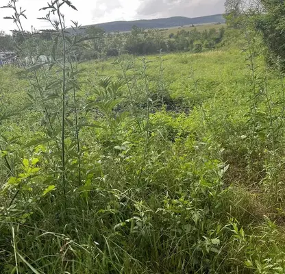 Photo 2 — Plot in Oblast Shumen, Kyulevcha