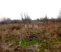 Снимка 2 — Парцел в Шумен, с. Кюлевча