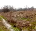 Снимка 3 — Парцел в Шумен, с. Кюлевча