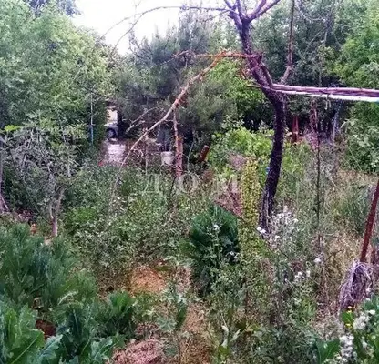 Photo 3 — Plot in Oblast Shumen, Kyulevcha