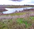 Снимка 3 — Парцел в Шумен, с. Марково