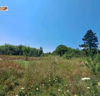 Снимка 2 — Парцел в Шумен, с. Мировци