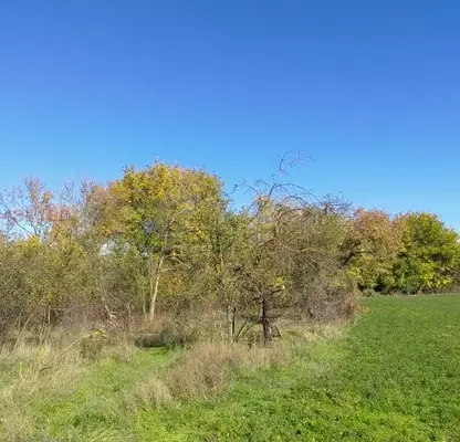 Photo 2 — Plot in Oblast Shumen, Mogila