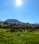 Парцел в Шумен, с. Могила