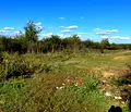 Снимка 2 — Парцел в Шумен, с. Никола Козлево