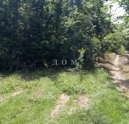 Photo 2 — Plot in Oblast Shumen, Osmar