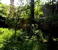 Снимка 3 — Парцел в Шумен, с. Осмар