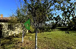 Парцел в Шумен, с. Салманово