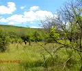 Снимка 2 — Парцел в Шумен, с. Стан