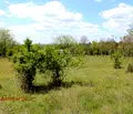 Снимка 5 — Парцел в Шумен, с. Стан