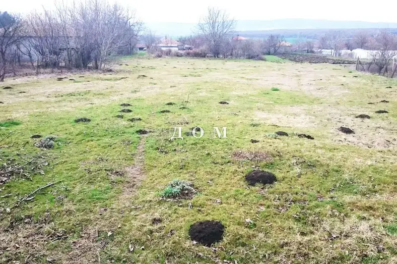 Plot in Shumen, Struino