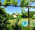Снимка 2 — Парцел в Шумен, с. Троица