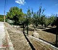 Снимка 3 — Парцел в Шумен, с. Янково
