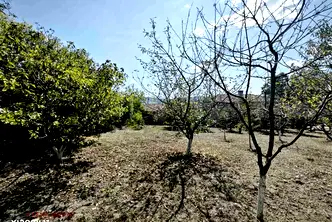 Парцел в Шумен, с. Янково