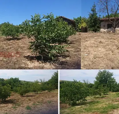 Снимка 5 — Парцел в Силистра, Алфатар