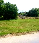 Парцел в Силистра, Алфатар