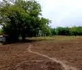 Снимка 2 — Парцел в Силистра, Дулово