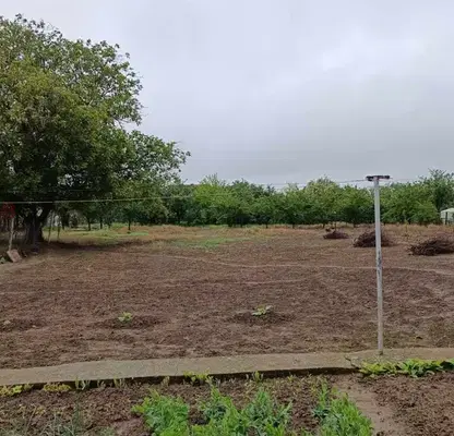 Photo 5 — Plot in Oblast Silistra, Dulovo