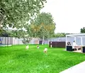 Снимка 3 — Парцел в Силистра, Тутракан