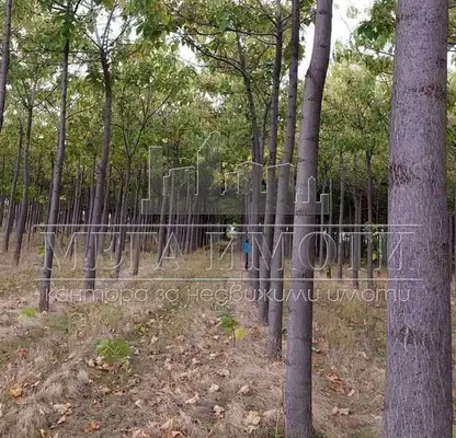 Photo 2 — Plot in Oblast Sliven, Chintulovo
