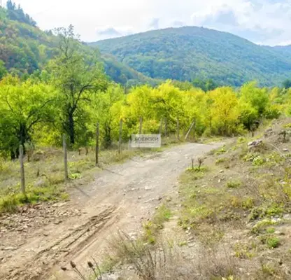 Photo 2 — Plot in Oblast Sliven, с. Ичера