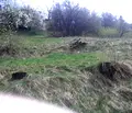 Снимка 4 — Парцел в Смолян, Чепеларе