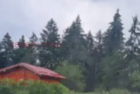 Plot in Oblast Smolyan, Dospat