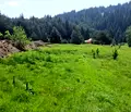 Снимка 3 — Парцел в Смолян, Доспат