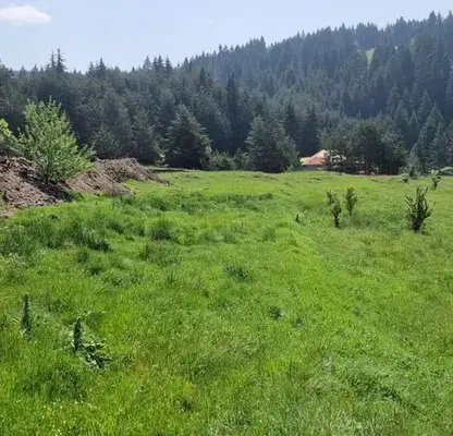 Photo 3 — Plot in Oblast Smolyan, Dospat