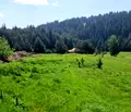 Снимка 5 — Парцел в Смолян, Доспат