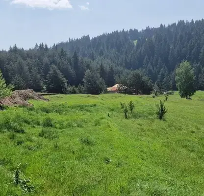 Photo 5 — Plot in Oblast Smolyan, Dospat