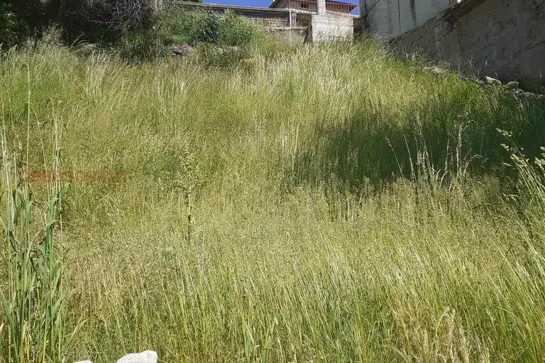 Парцел в Смолян, Неделино