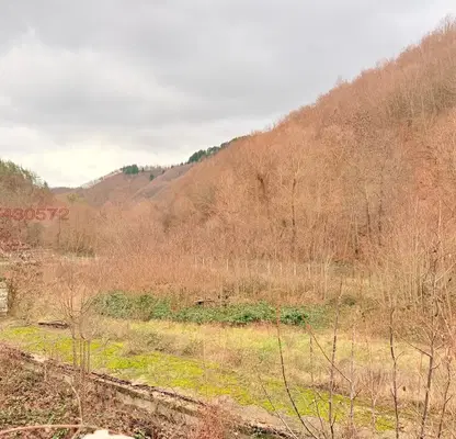 Photo 3 — Plot in Smolyan, Zlato