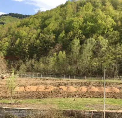 Photo 5 — Plot in Smolyan, Zlato