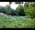 Снимка 2 — Парцел в Смолян, к.к. Пампорово