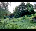 Снимка 4 — Парцел в Смолян, к.к. Пампорово