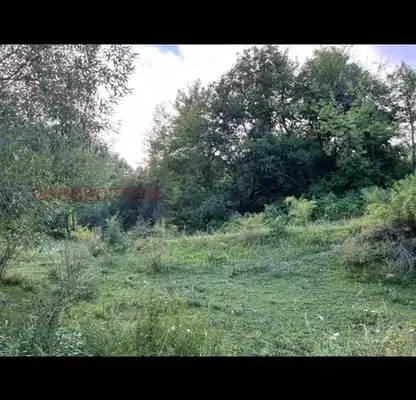 Снимка 4 — Парцел в Смолян, к.к. Пампорово