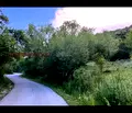 Снимка 5 — Парцел в Смолян, к.к. Пампорово