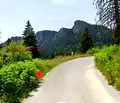 Снимка 2 — Парцел в Смолян, к.к. Пампорово