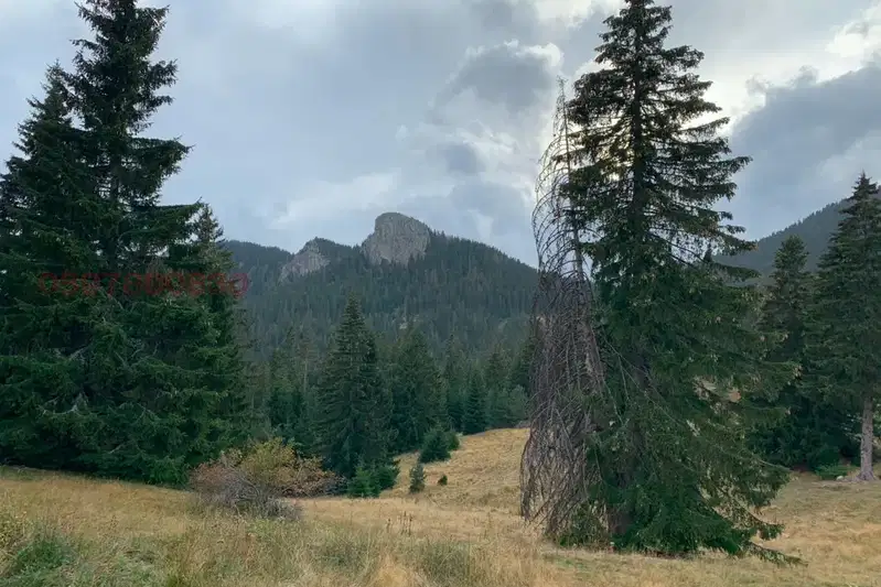 Plot in Oblast Smolyan, Pamporovo