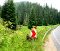 Снимка 3 — Парцел в Смолян, к.к. Пампорово