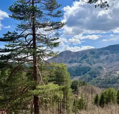 Photo 2 — Plot in Smolyan, Banite