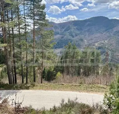 Photo 3 — Plot in Smolyan, Banite