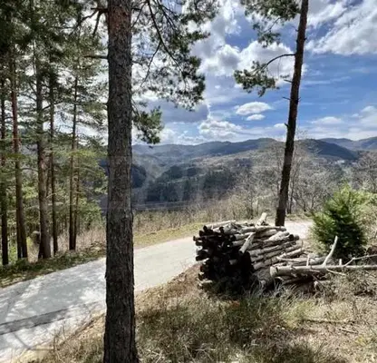 Photo 4 — Plot in Smolyan, Banite