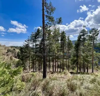 Photo 5 — Plot in Smolyan, Banite