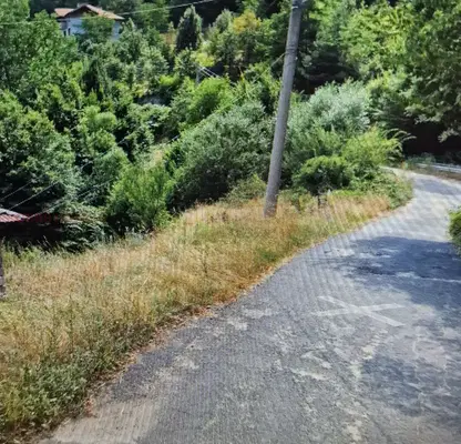 Photo 3 — Plot in Oblast Smolyan, Davidkovo