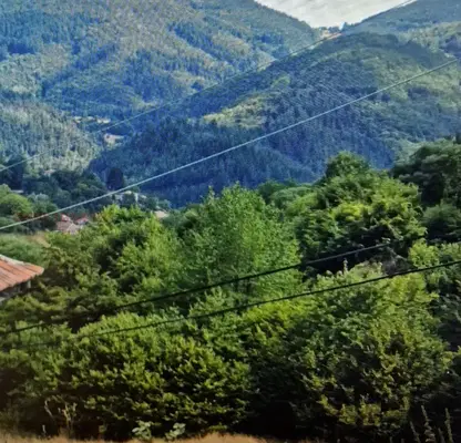 Photo 4 — Plot in Oblast Smolyan, Davidkovo